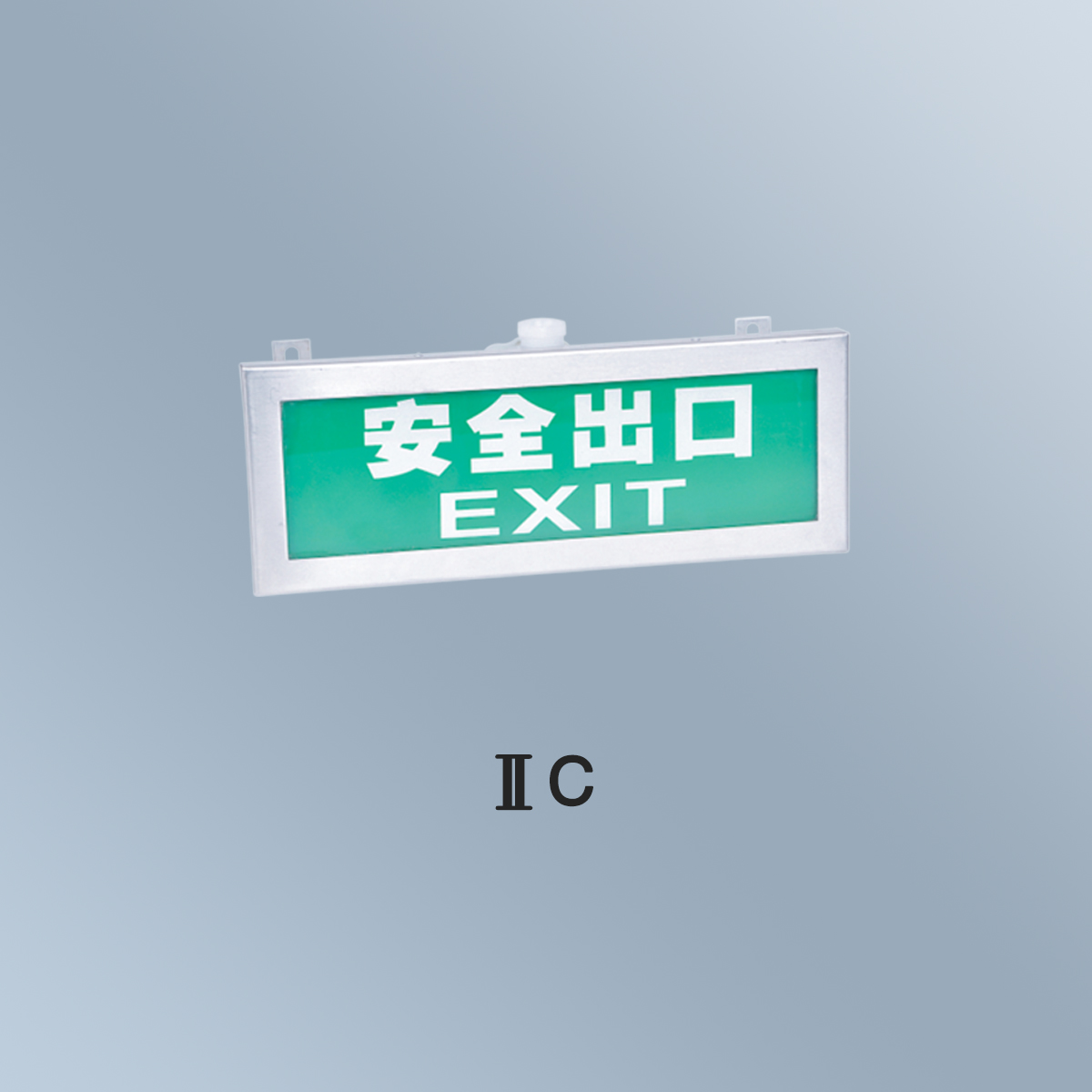 BYY 系列防爆標(biāo)志燈(ⅡB、ⅡC)