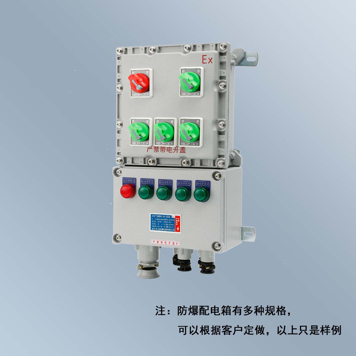 BXM(D)58 系列防爆照明(動力)配電箱 (ⅡB、ⅡC、DIP)